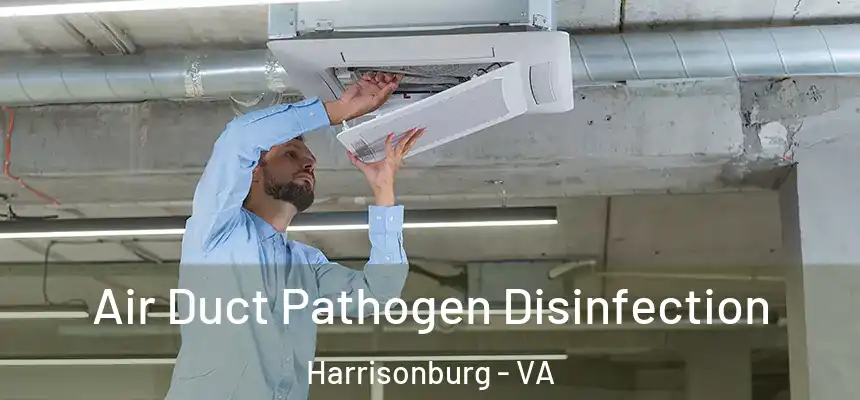  Air Duct Pathogen Disinfection Harrisonburg - VA