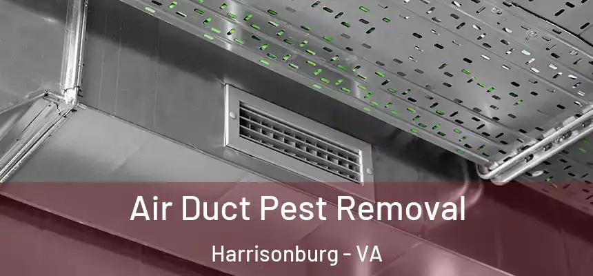  Air Duct Pest Removal Harrisonburg - VA