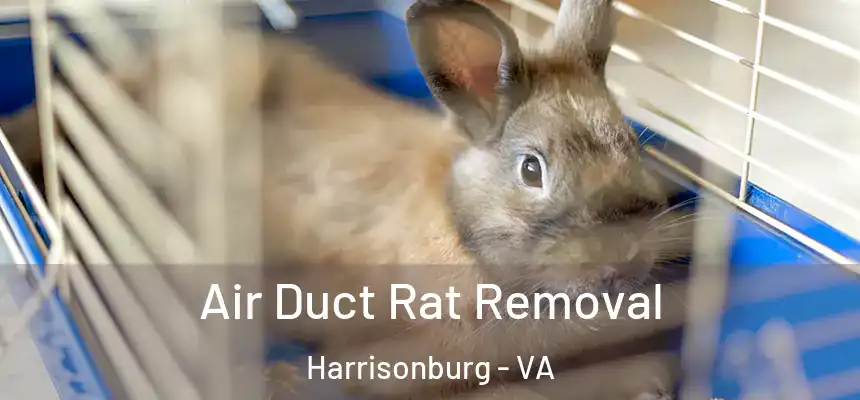 Air Duct Rat Removal Harrisonburg - VA