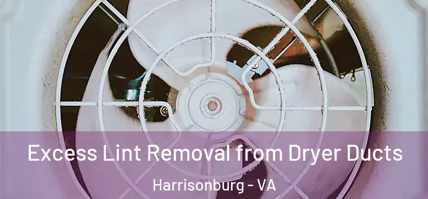  Excess Lint Removal from Dryer Ducts Harrisonburg - VA
