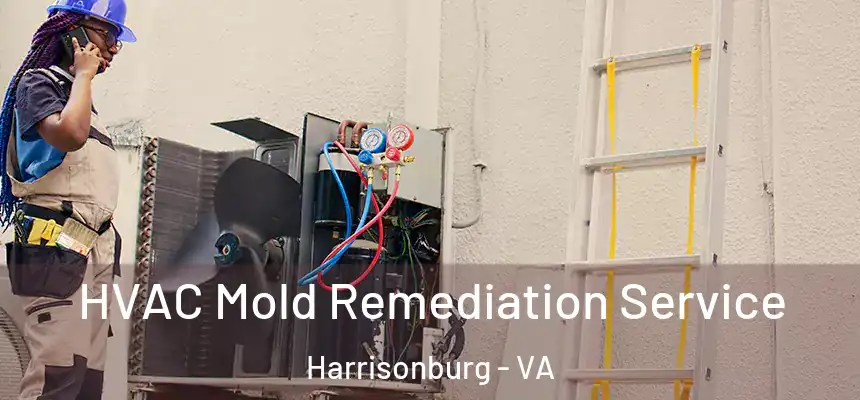  HVAC Mold Remediation Service Harrisonburg - VA