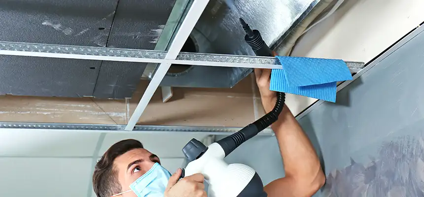 Our Air Duct Rodent Removal Services in Harrisonburg, VA