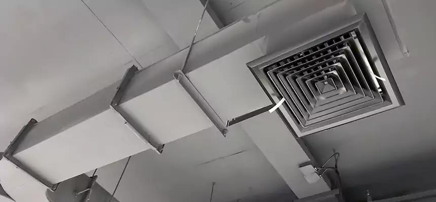 Restorative Allergy Relief Vent Cleaning – Coil, Blower & Housing Detail in Harrisonburg