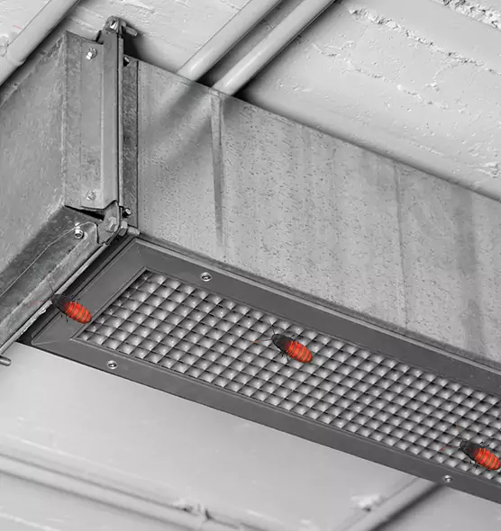 Affordable Insect Removal from Air Ducts in Harrisonburg, VA