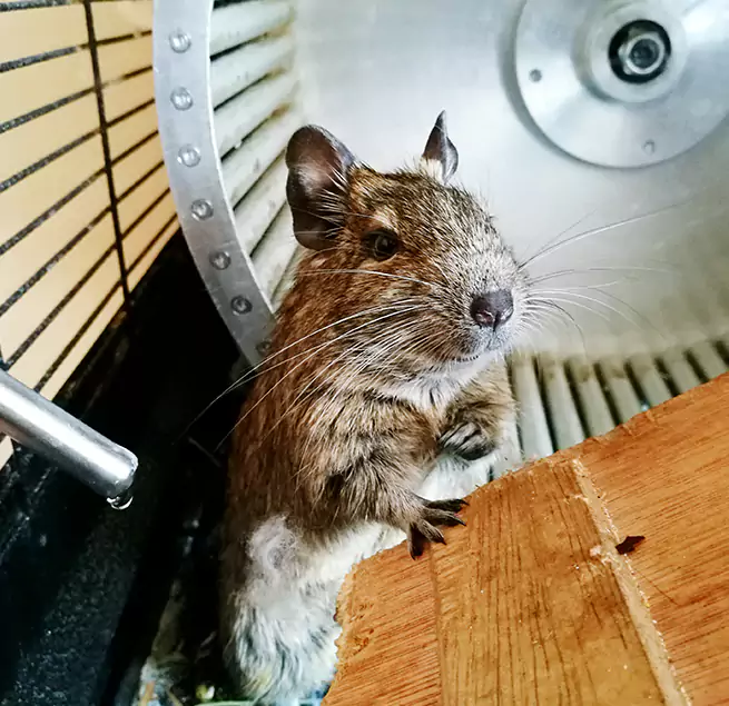 Why Homeowners & Businesses Trust Us Harrisonburg, VA